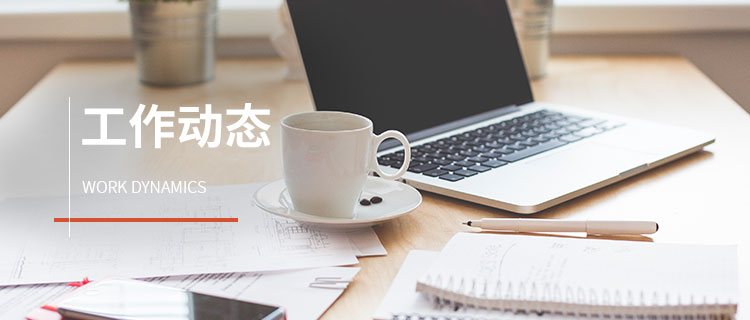工作动态